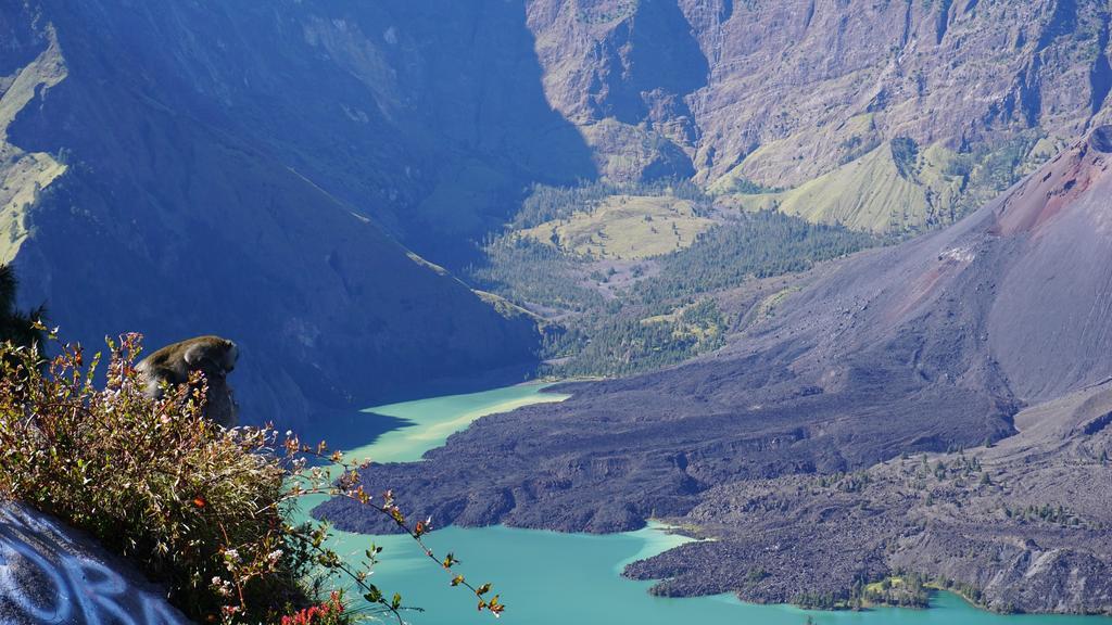 Rinjani Trails Hotel セナル エクステリア 写真